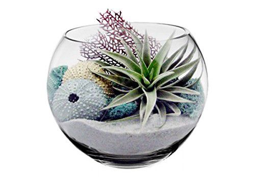 CYS® Glass Bubble Bowl, Fish Bowl Hand Blown Glass Vase, Body D-8"