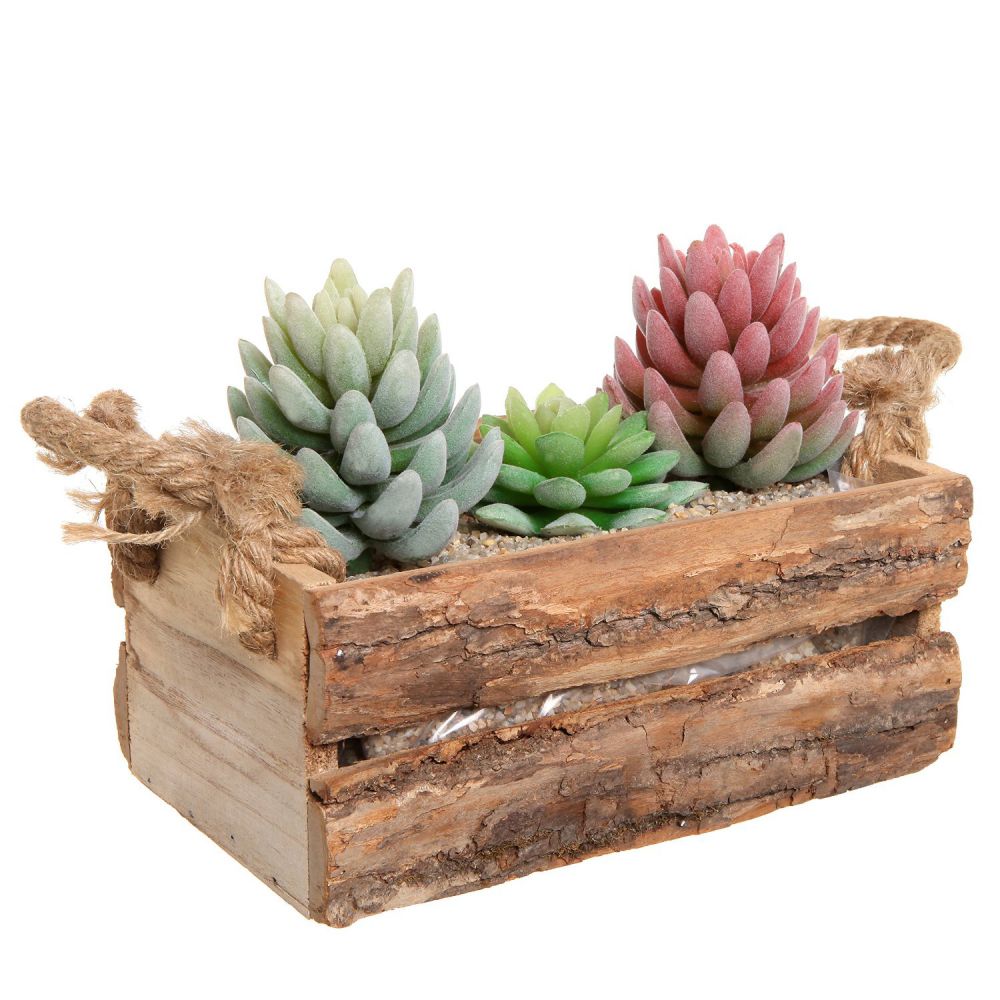Country Rustic Natural Wood Plant Box Pot / Windowsill Flower Container / Small Decor Holder - MyGift®
