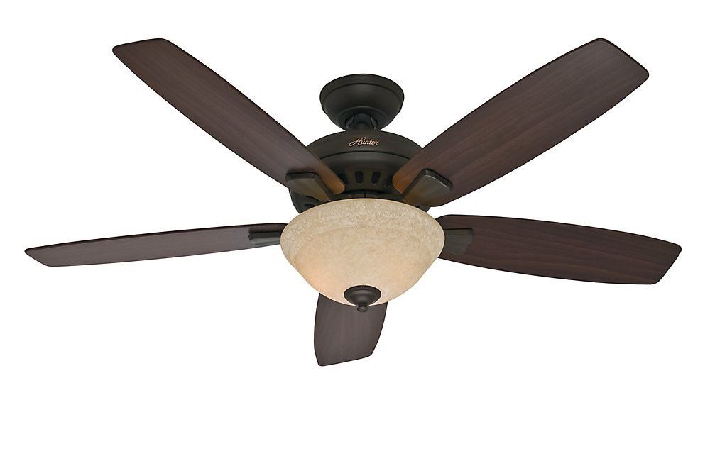 Hunter Fan Company 53176 Banyan 52-Inch Ceiling Fan, New Bronze