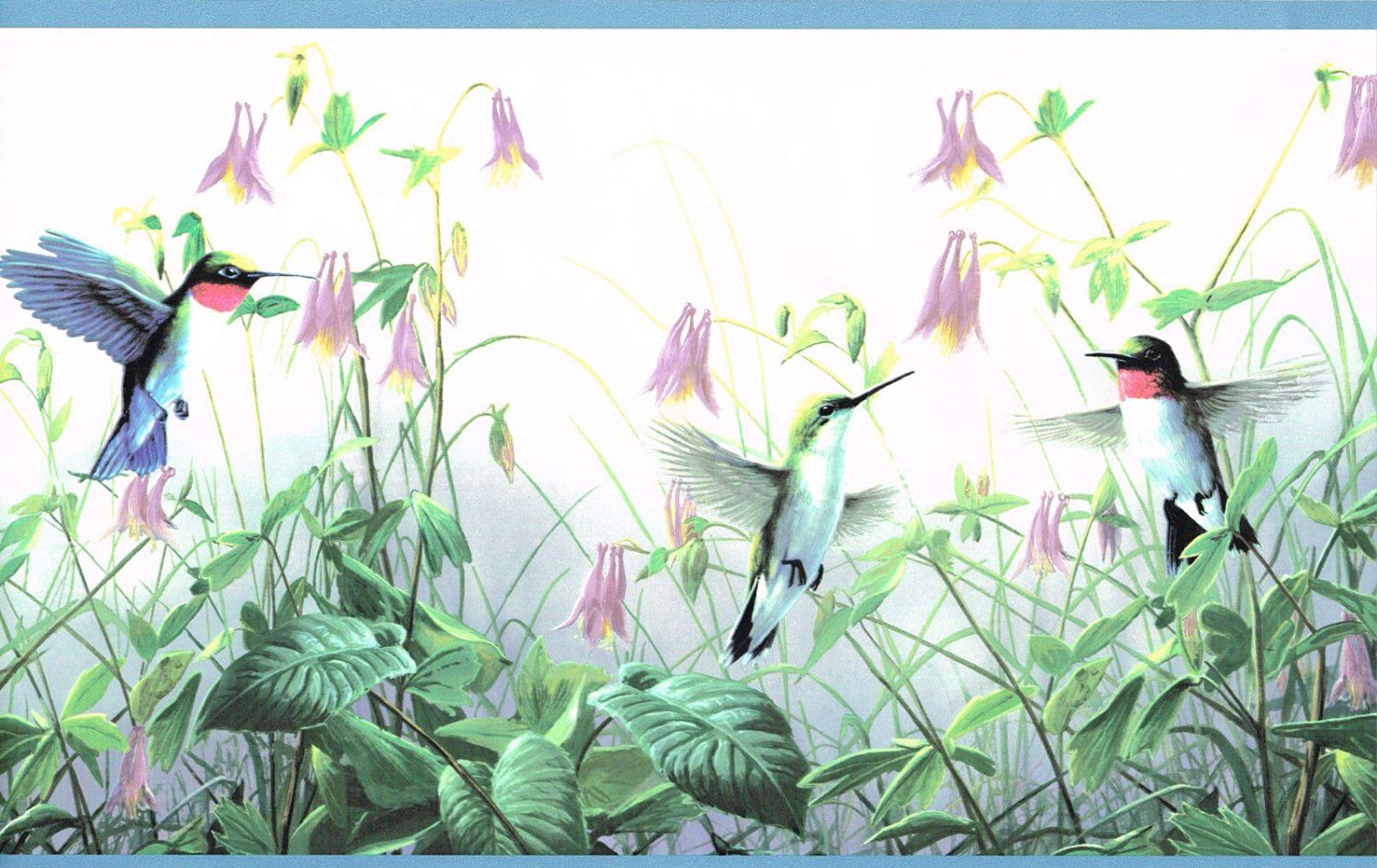 Wallpaper Border Floral Hummingbirds with Blue Edge By James Hautman Brothers