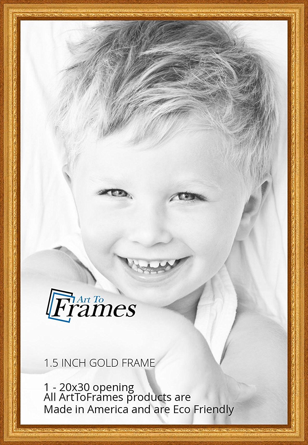 ArtToFrames 20x30 inch Gold Speckeled Wood Picture Frame, WOMTI-795-20x30