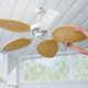 Palm-Leaf Ceiling Fan Blades-Set of 5 - Ivory