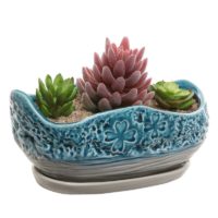 Turquoise & Gray Clover Design Ceramic Flower Plant Pot / Decorative Centerpiece Planter with Saucer